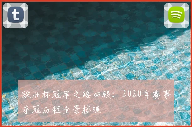 欧洲杯冠军之路回顾：2020年赛事夺冠历程全景梳理
